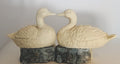 Duo de Canards de Gascogne